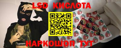 ПСИЛОЦИБИНОВЫЕ ГРИБЫ Аргун