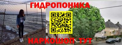 ПСИЛОЦИБИНОВЫЕ ГРИБЫ Аргун