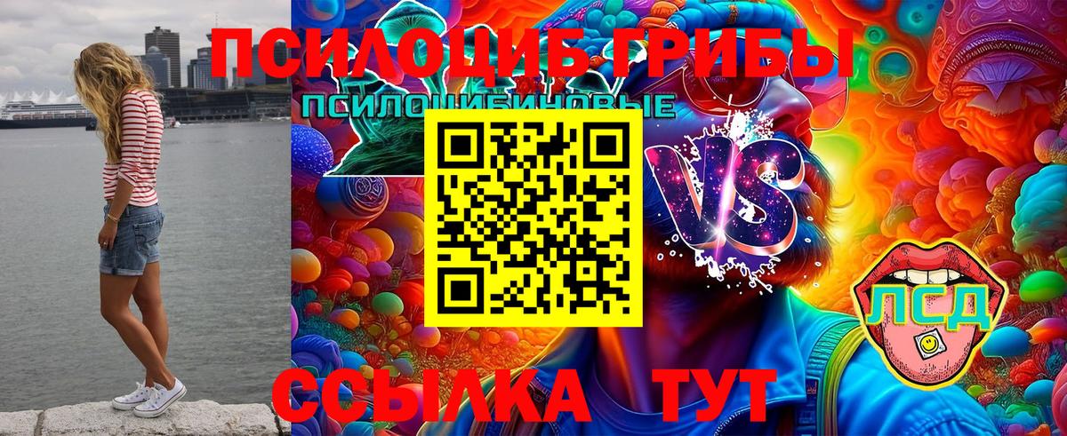 Псилоцибиновые грибы Magic Shrooms  Вход с VPN  Беслан 